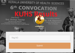 KUHS B.Sc Nursing Result 2023 Semster/Year Wise {Link OUT}